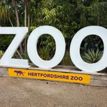 Annual Outing 2025 – Hertfordshire Zoo